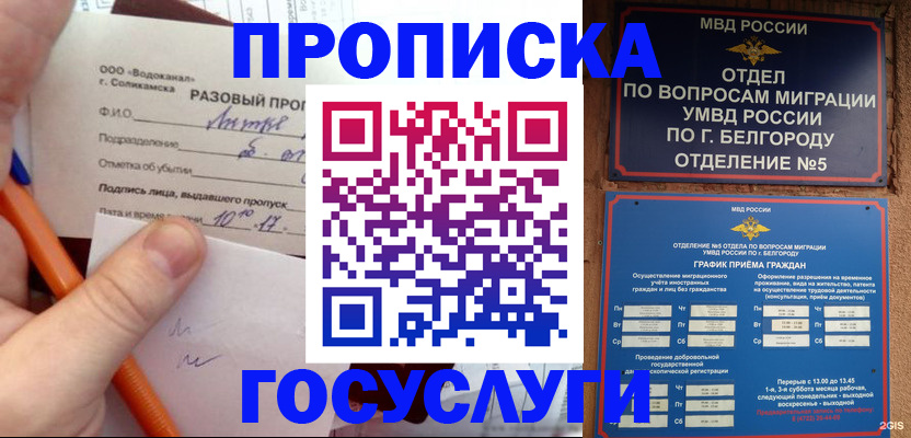 временная регистрация адрес в Долгопрудном
